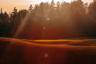 Golden sunset on the green